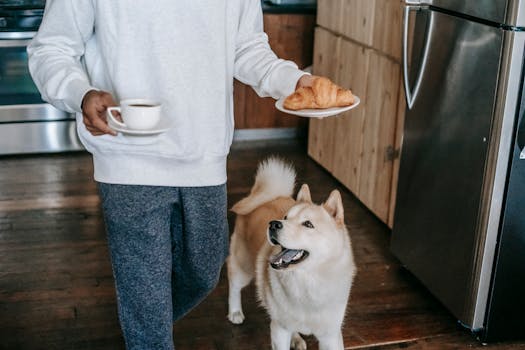 healthy dog food for shiba inu