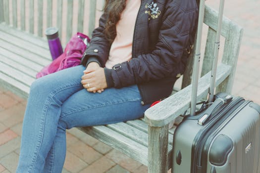 Shiba Inu comfortably resting in a travel crate