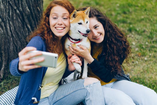Shiba Inu making new friends at the dog park